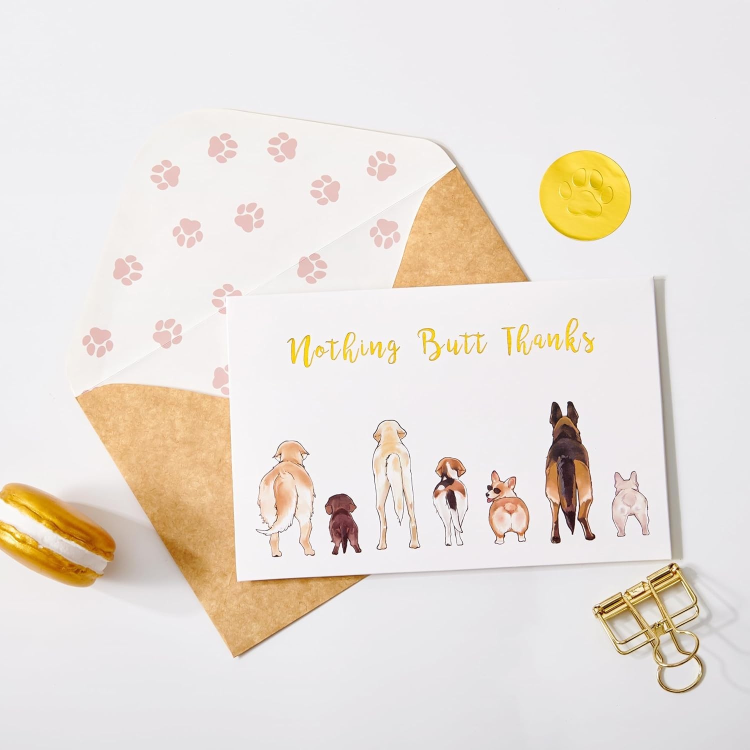 50 Count Dog Thank You Cards Nothing Butt Thanks Gold white and brown