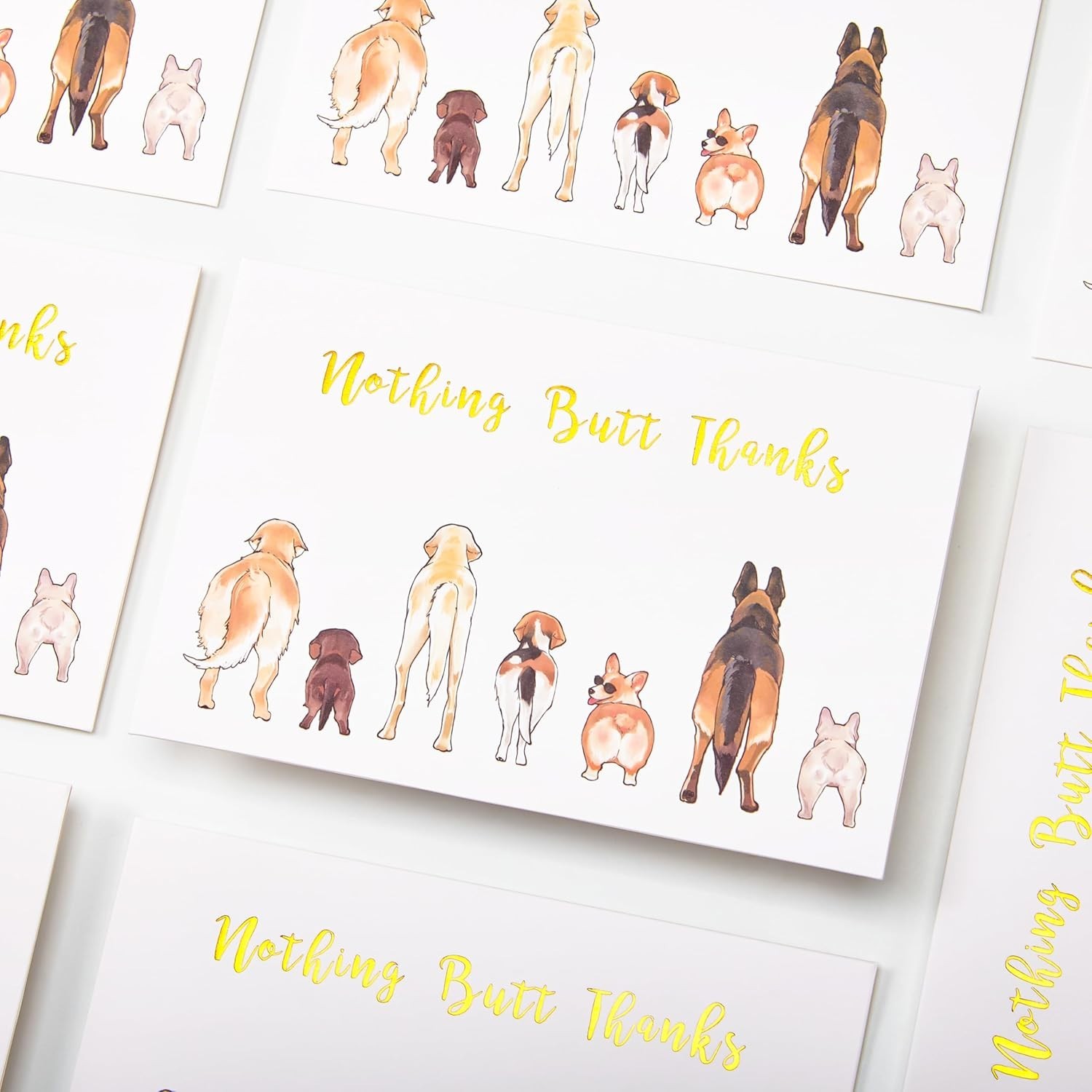 50 Count Dog Thank You Cards Nothing Butt Thanks Gold white and brown