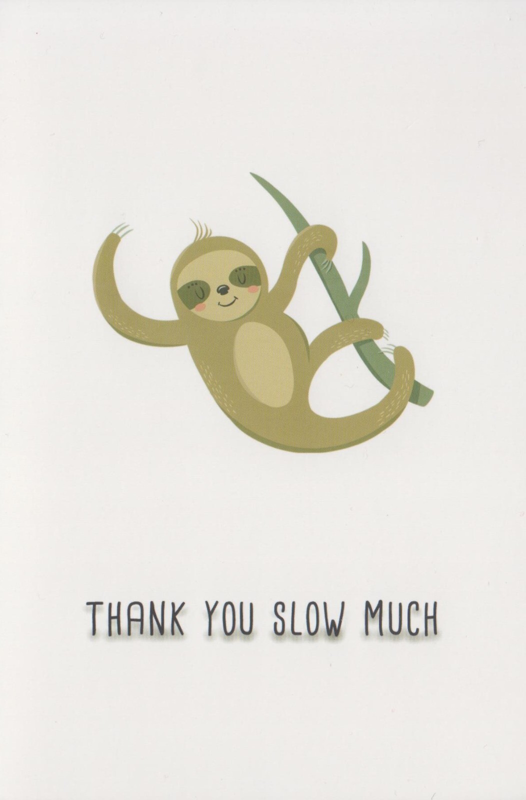 Funny Animal Thank You Cards 1 Card 1 Envelope Blank Greeting Card