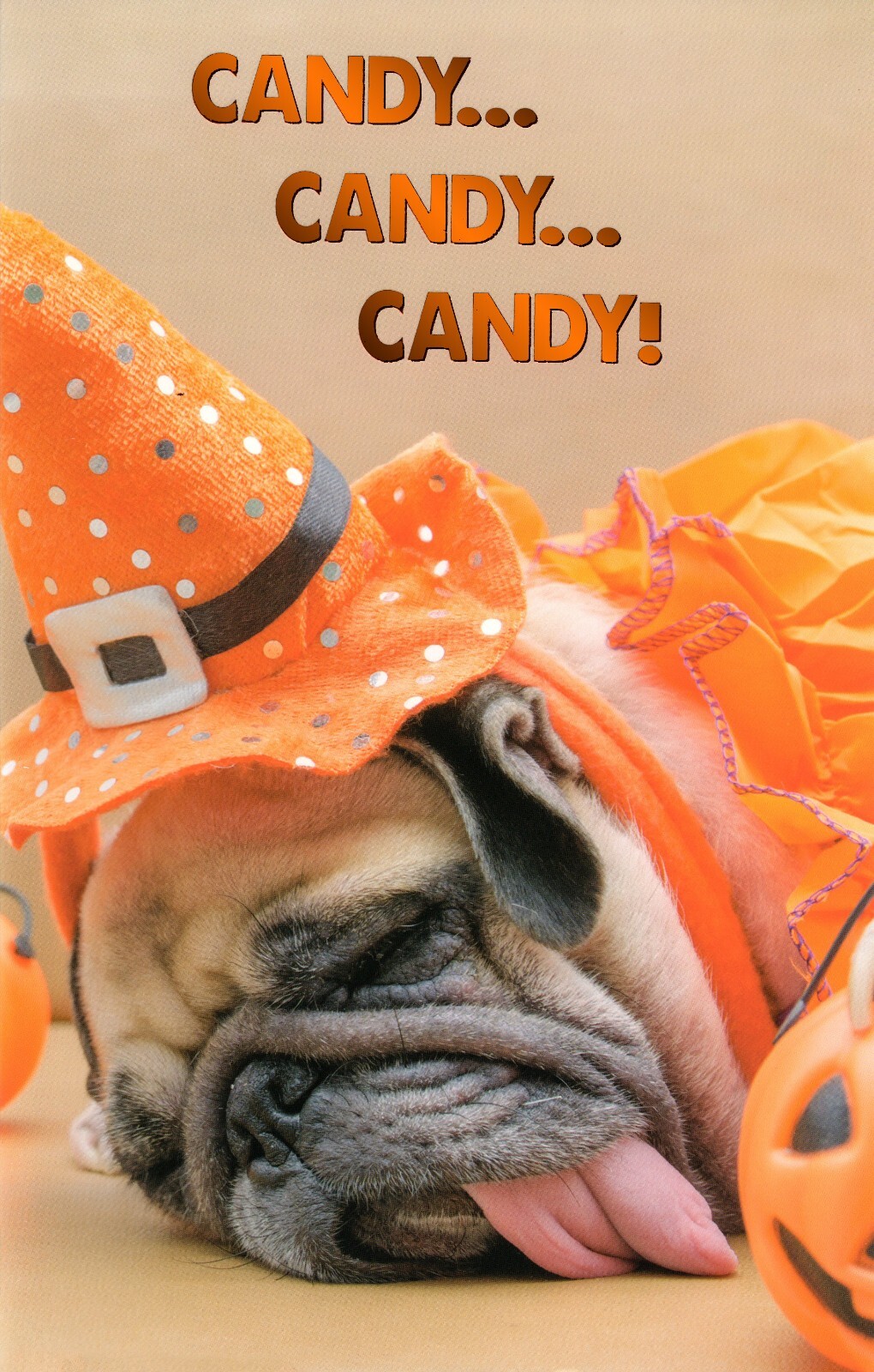 Cute HALLOWEEN Card, Candy Sleepy Pug Dog Witch Costume by Premium Greetings +✉