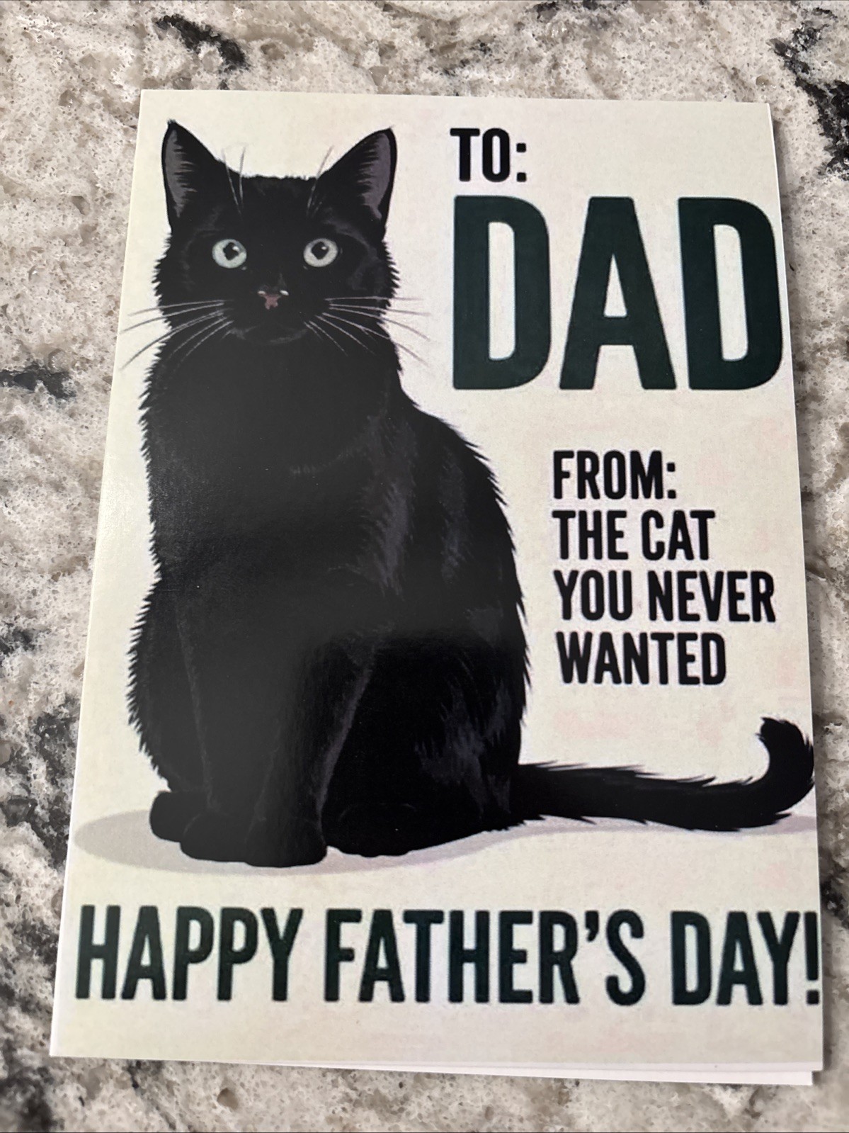 Father’s Day Funny From The Cat 4.6”x6.6” Blank Inside Greeting Card