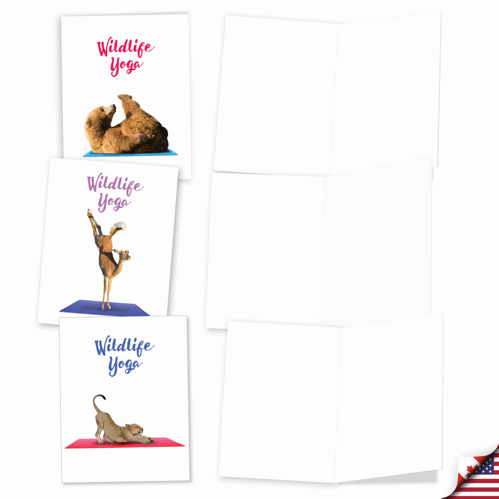 20 Blank All Occasion Cards (10 Designs, 2 Each) – Wildlife Yoga AM7030OCB-B2x10