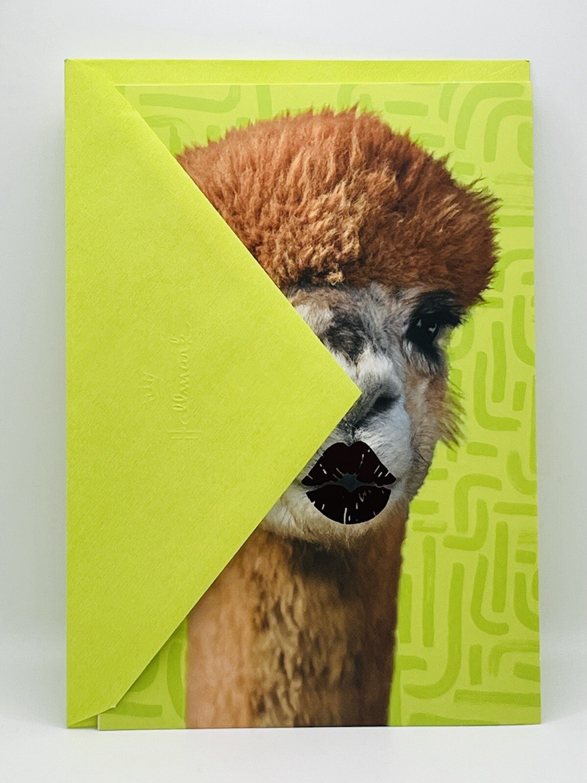Funny Birthday Card For Anyone Kissing Lama Metallic Foil Lips Hallmark Card NEW