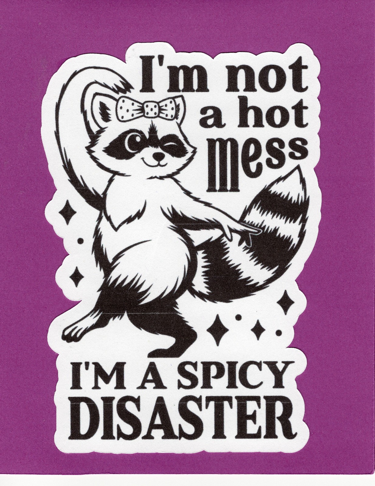 Greeting Card – Note Card 5.5 x 4.25 / Funny Humor Cute Girl Raccoon TFC