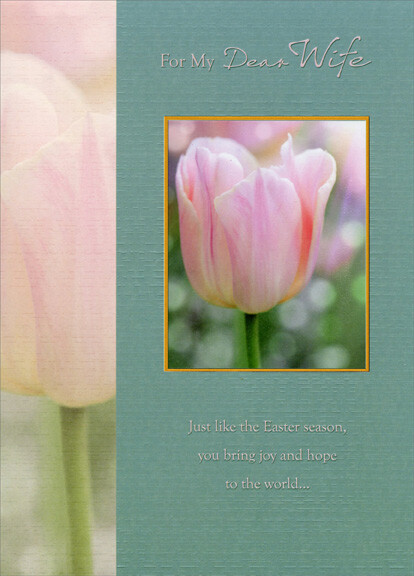 Single Pink Tulip in Gold Foil Frame: Wife – Designer Greetings Easter Card