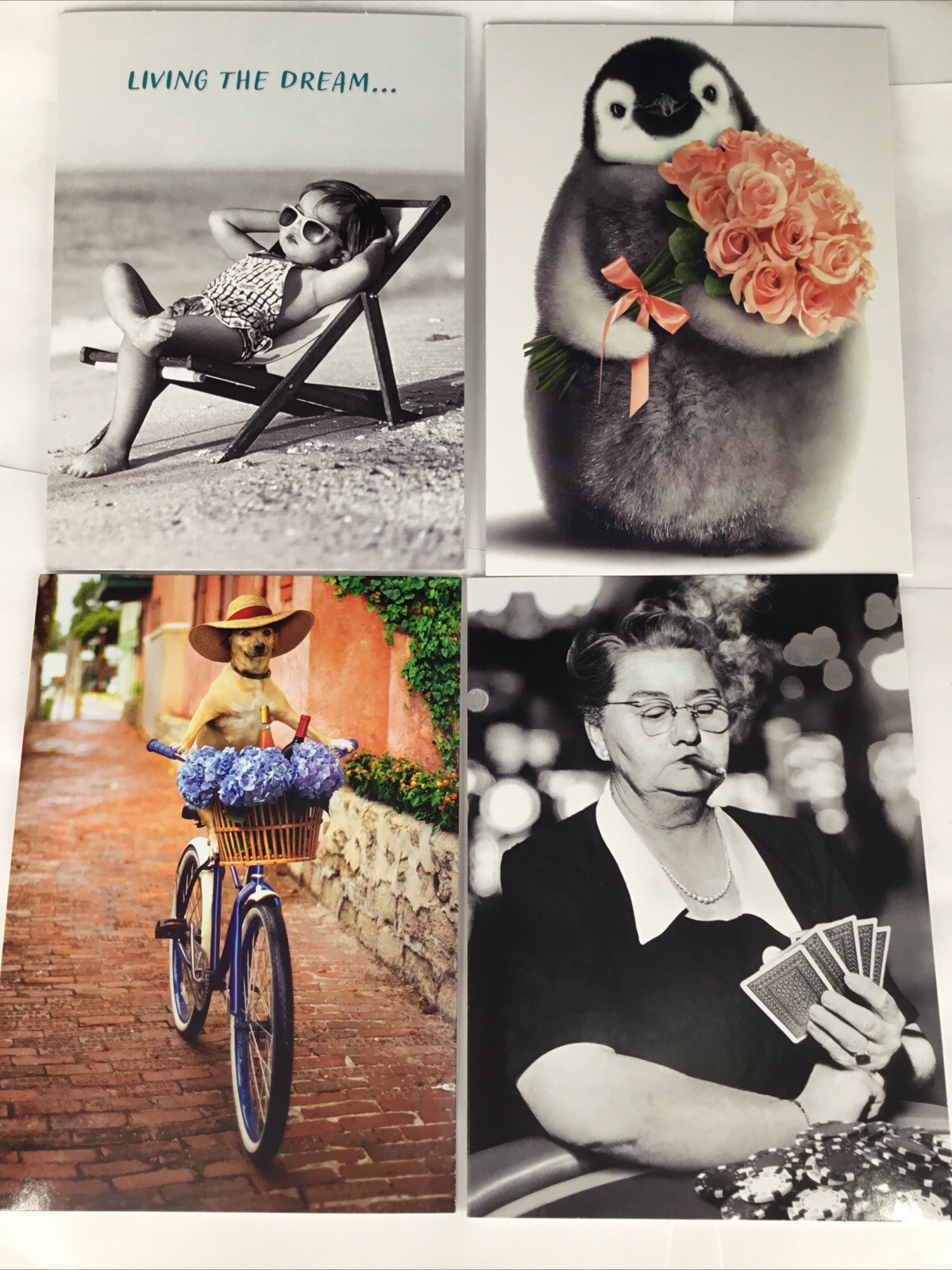 Sixty-four Avanti Birthday Cards Four Different Styles & Envelopes Free Shipping