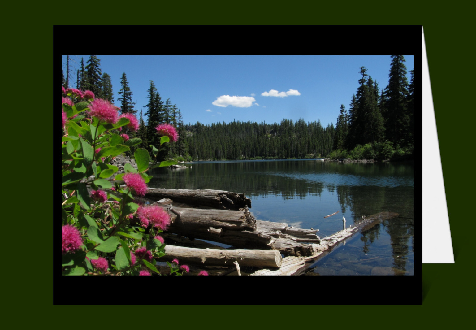 Nature Greeting Cards & Envelopes Blank 100% Recycled Windpower-made Paper