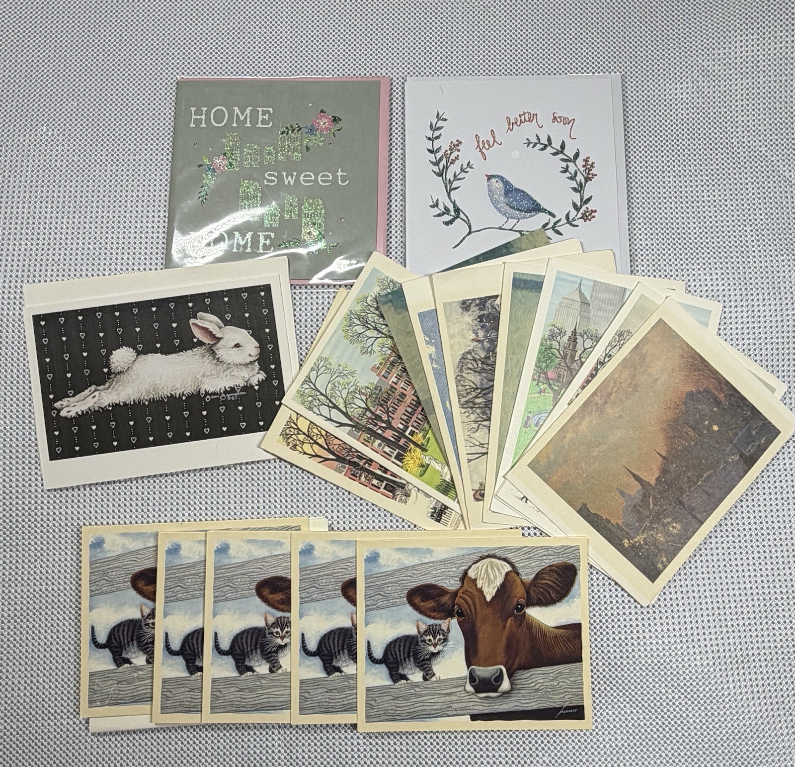 Mixed Lot of Greeting Cards and Note Cards Animals Cities Crafts Scrapbooking