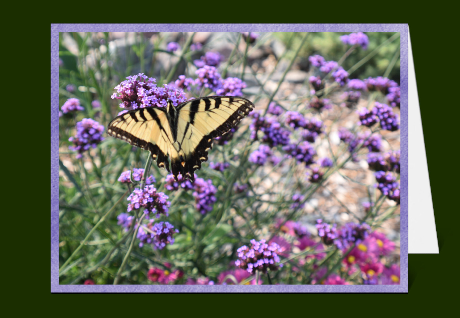 Nature Greeting Cards & Envelopes Blank 100% Recycled Windpower-made Paper