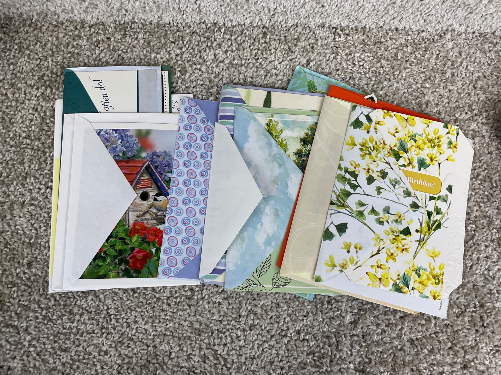Assorted Greeting Card Bundle with Envelopes All Occasion Designs