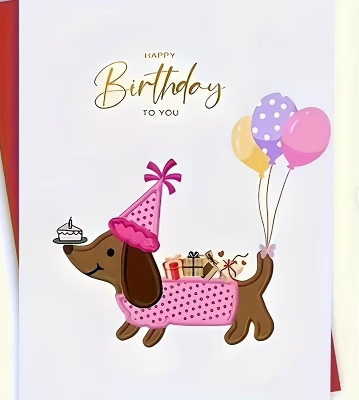 Happy Birthday Cute Dachshund greeting card/blank inside