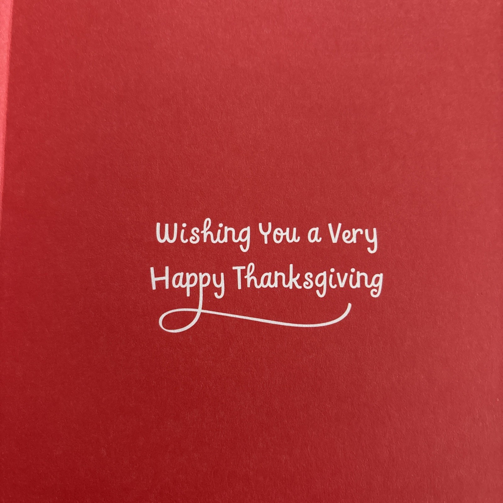 THANKSGIVING Giving Thanks Blessings Of Love 5”x7” Religious Greeting Card