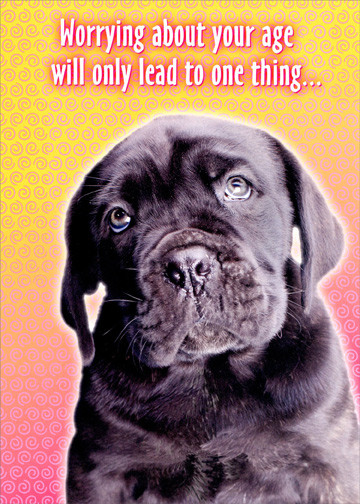 Oatmeal Studios Dog Worrying About Age Funny Birthday Card
