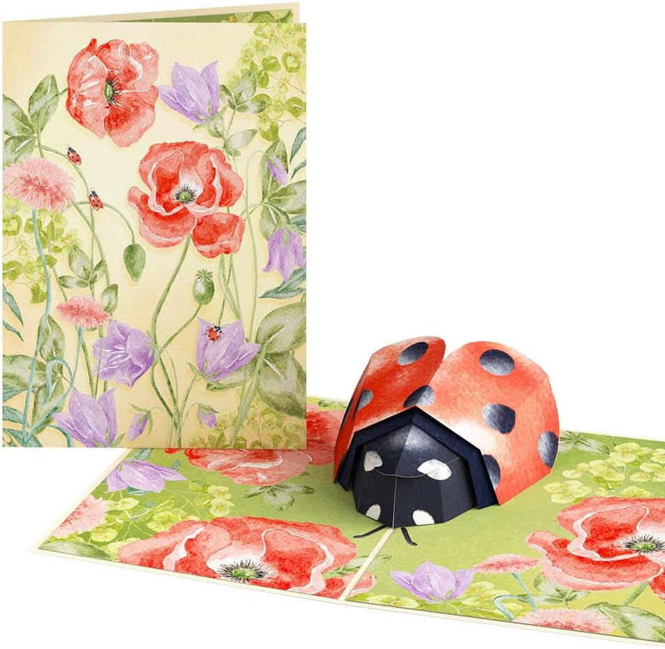 Everyday Pop-Up Card for Her and Him – 3D Greeting Cards for Boys, Girls, Men, W