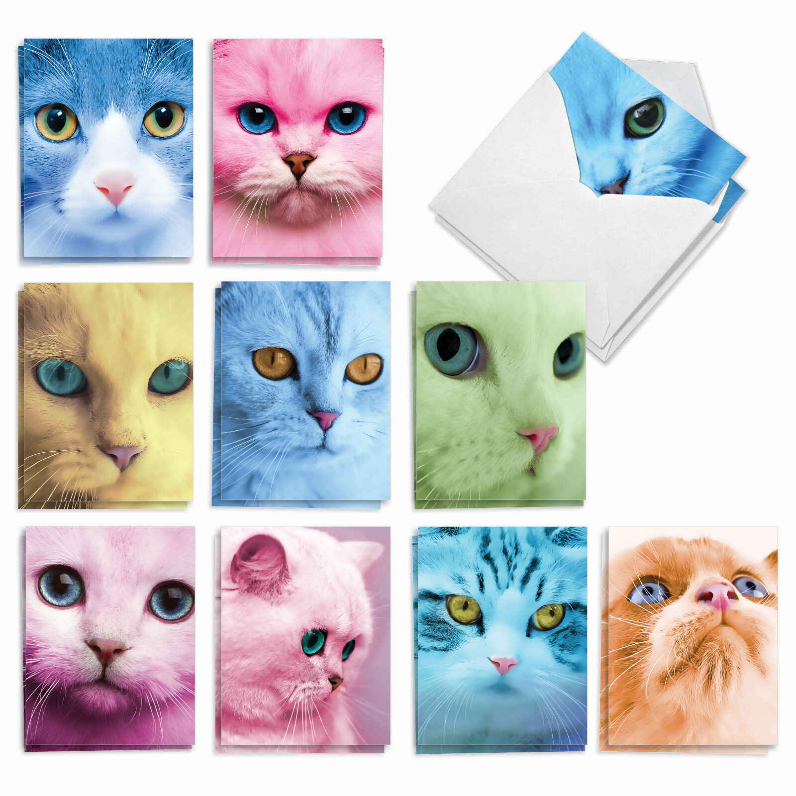 20 Assorted Blank Cards (10 Designs, 2 Ea) – Fancy Feline Faces AM7179OCB-B2x10