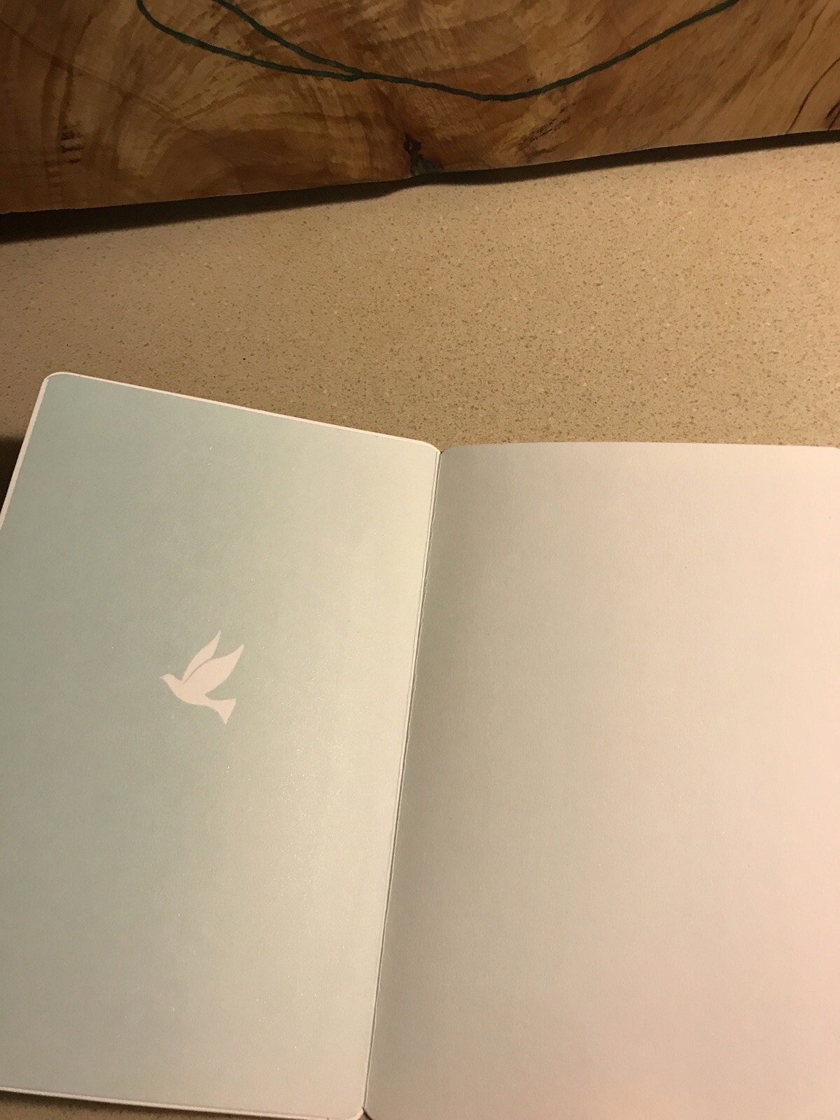 Everyday grace Beautiful White Dove Blue Background Card Write In A Message