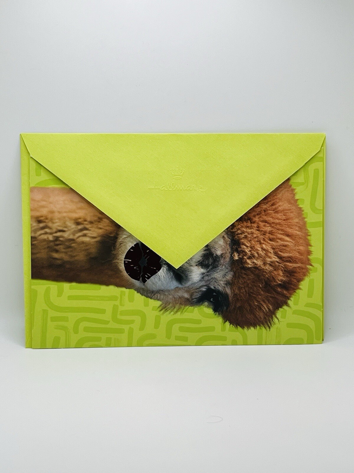 Funny Birthday Card For Anyone Kissing Lama Metallic Foil Lips Hallmark Card NEW