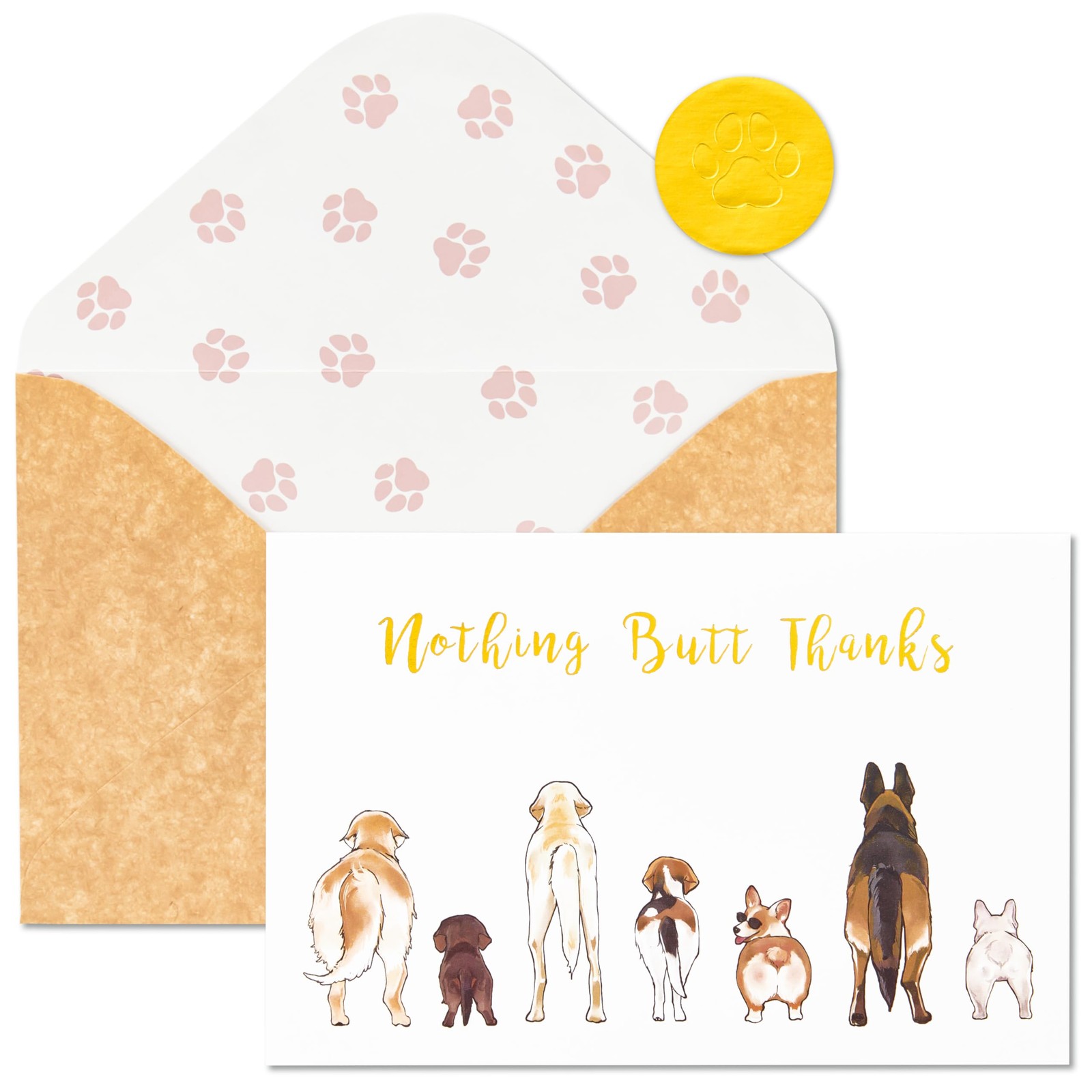 50 Count Dog Thank You Cards Nothing Butt Thanks Gold white and brown