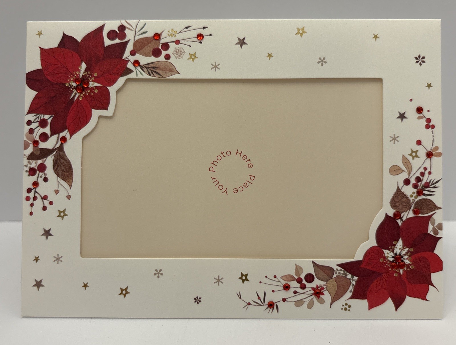 PAPYRUS Poinsettia Holiday Note Cards 12 Cards Gem Embellished Retired Box