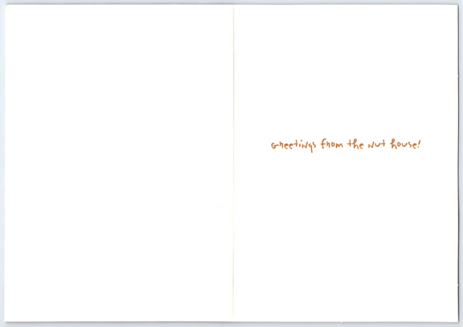 AVANTI SQUIRREL WELCOME TO THE NUT HOUSE GREETING CARD w/ Envelope CF2