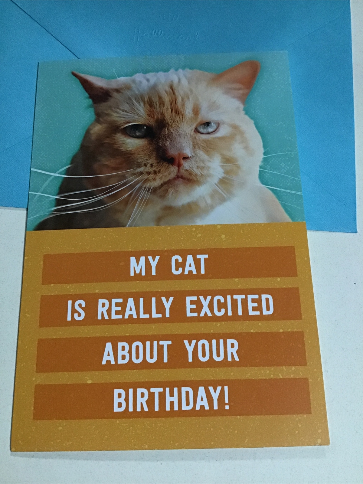 My Cat Is Really Excited About Your Birthday Funny 5”x7” Hallmark Greeting Card