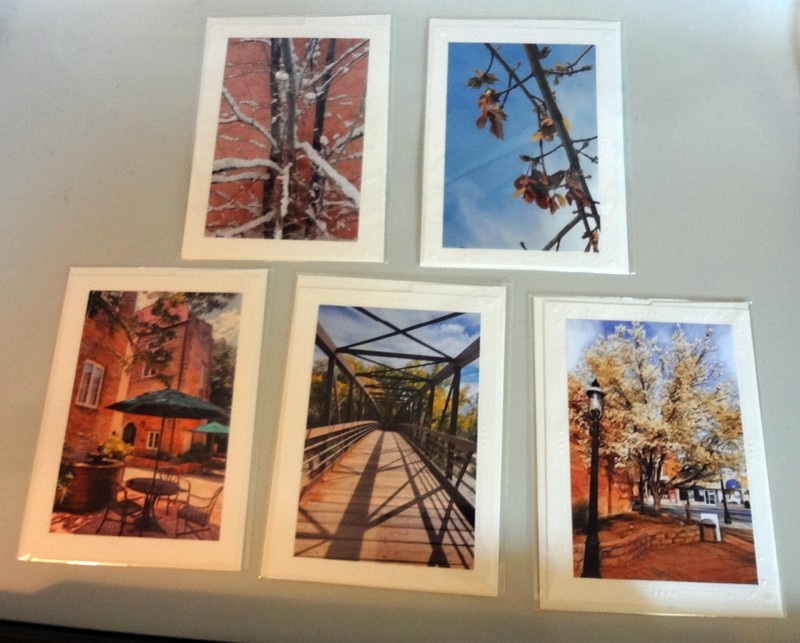 5 Nature Art Photo Greeting Cards Blank EACH SEALED Trees Bridge MORE P. Tripodi