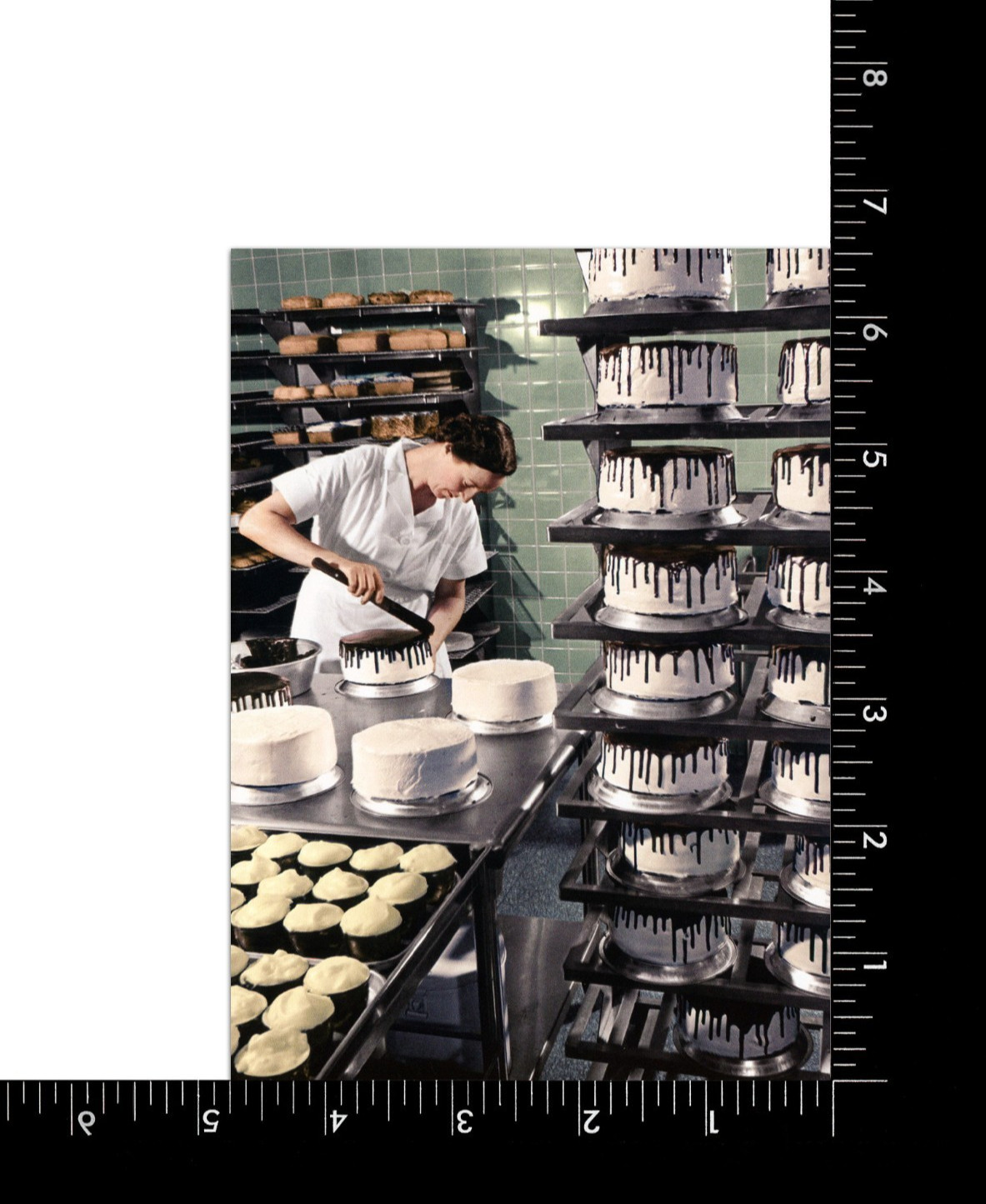 Funny BIRTHDAY Card, Cake Woman Julia Child Quote by Avanti America + Envelope
