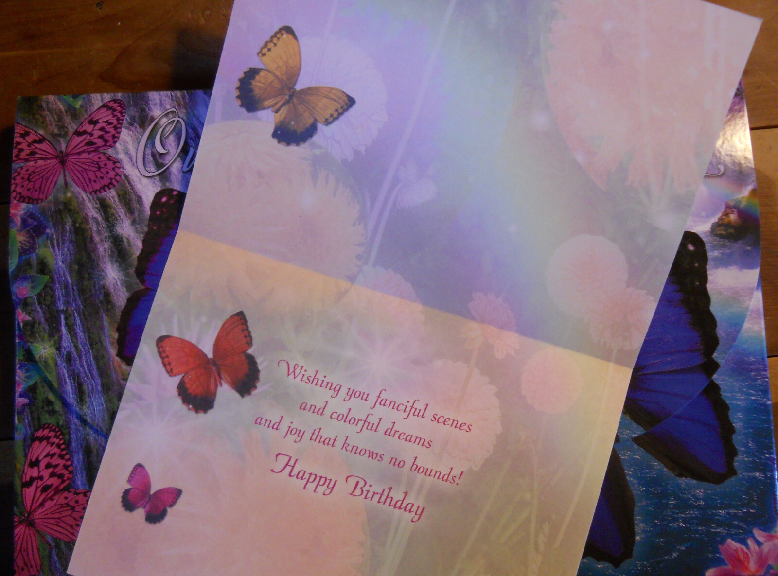 20 Leanin Tree Greeting Box Cards Set ON BUTTERFLY WINGS, Coloful, Whimsical
