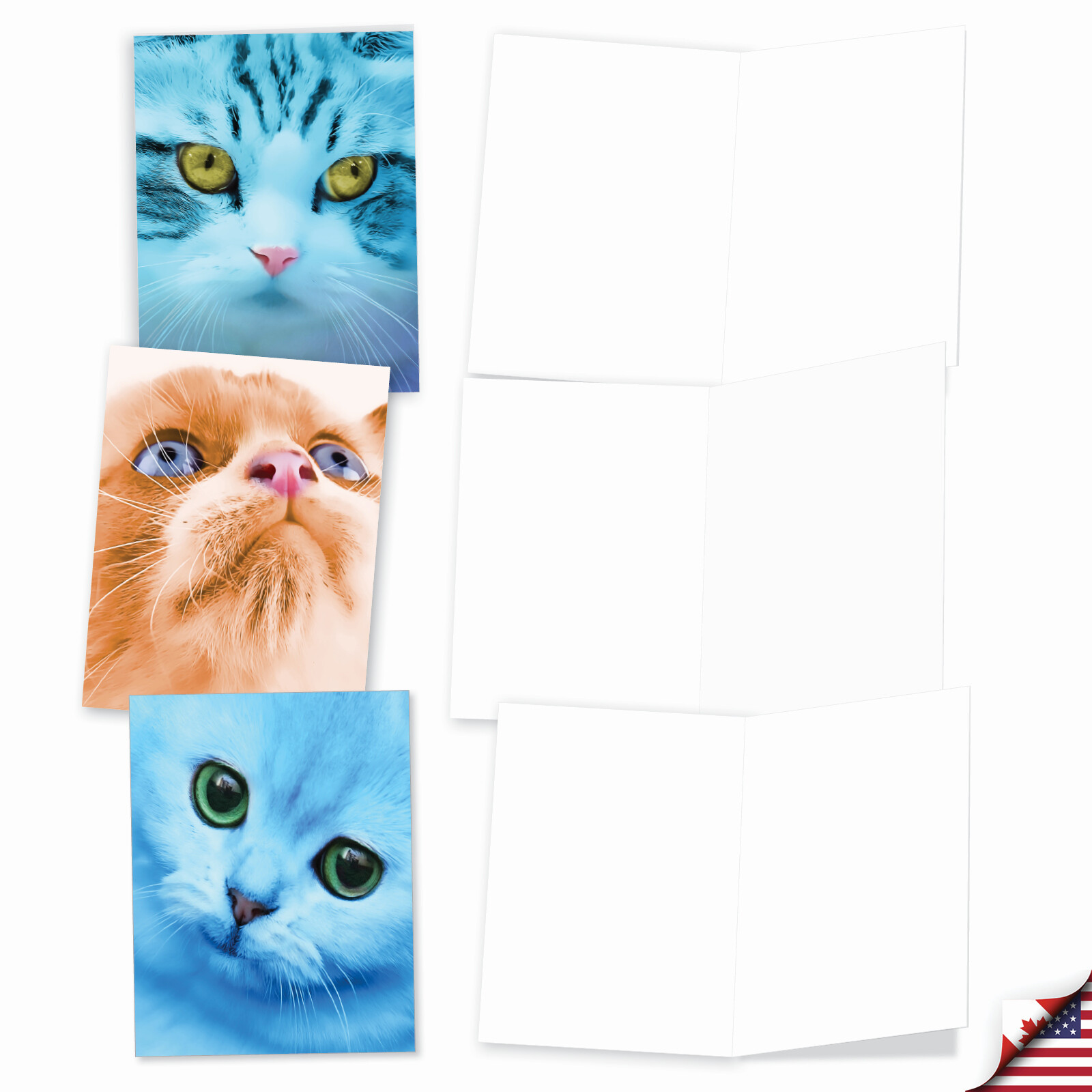 20 Assorted Blank Cards (10 Designs, 2 Ea) – Fancy Feline Faces AM7179OCB-B2x10
