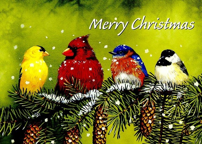 Merry Christmas – Warm Wishes – Christmas Tree Free Greeting Card – 14456