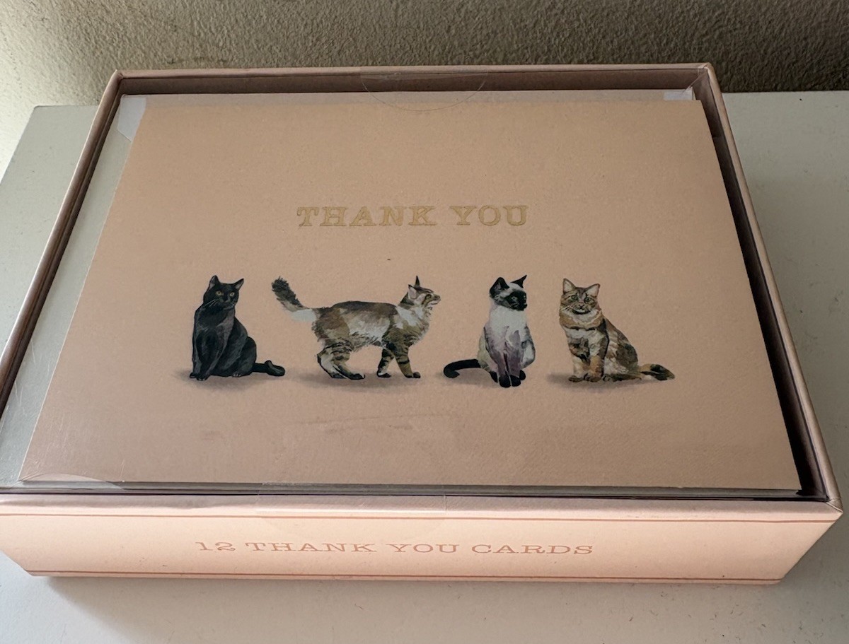 Molly & Rex 12 Blank Thank You Cards with Envelopes Blush Pink Boxed Stationery