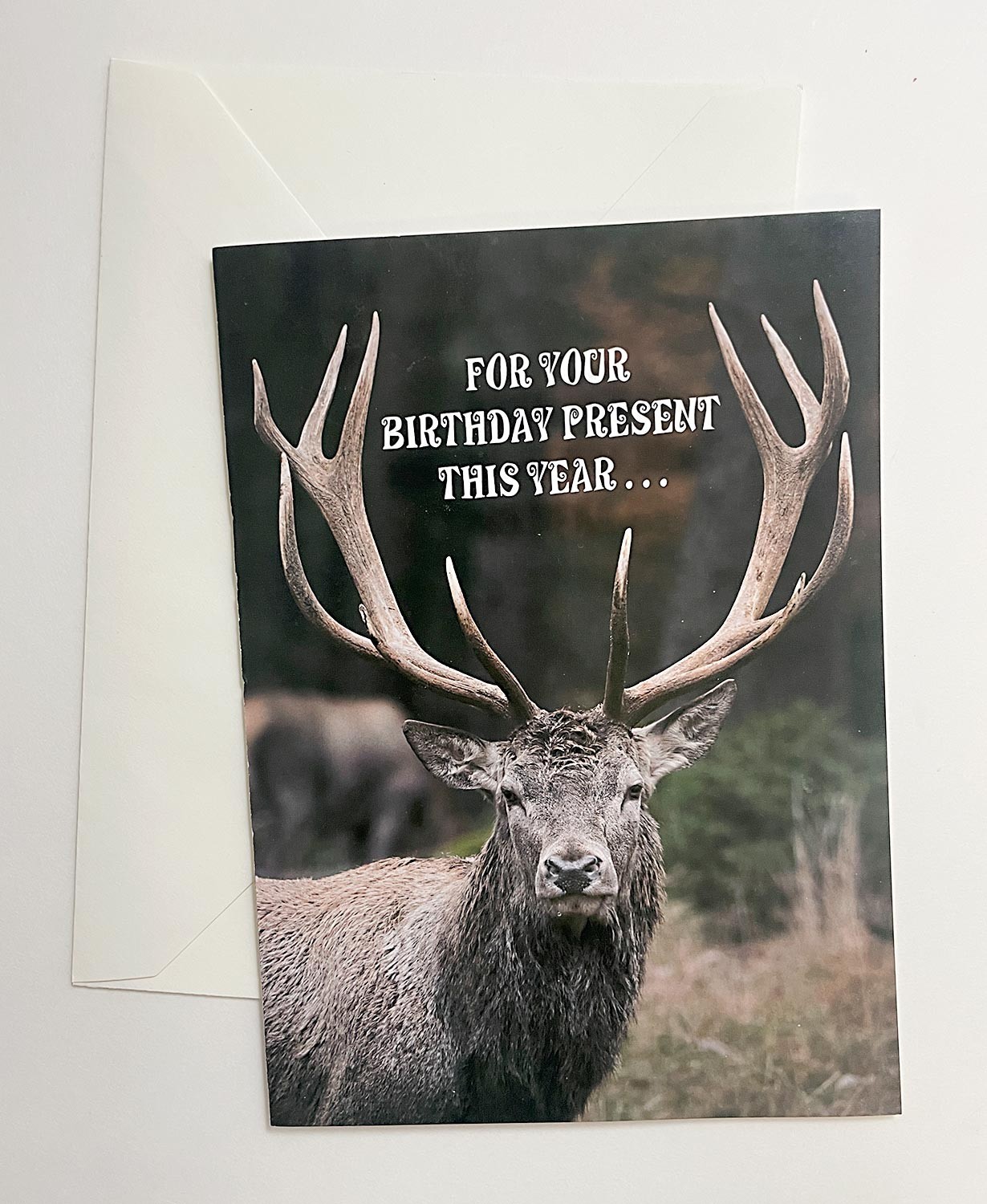 Funny Birthday Card “Giving You a Buck” with envelope.