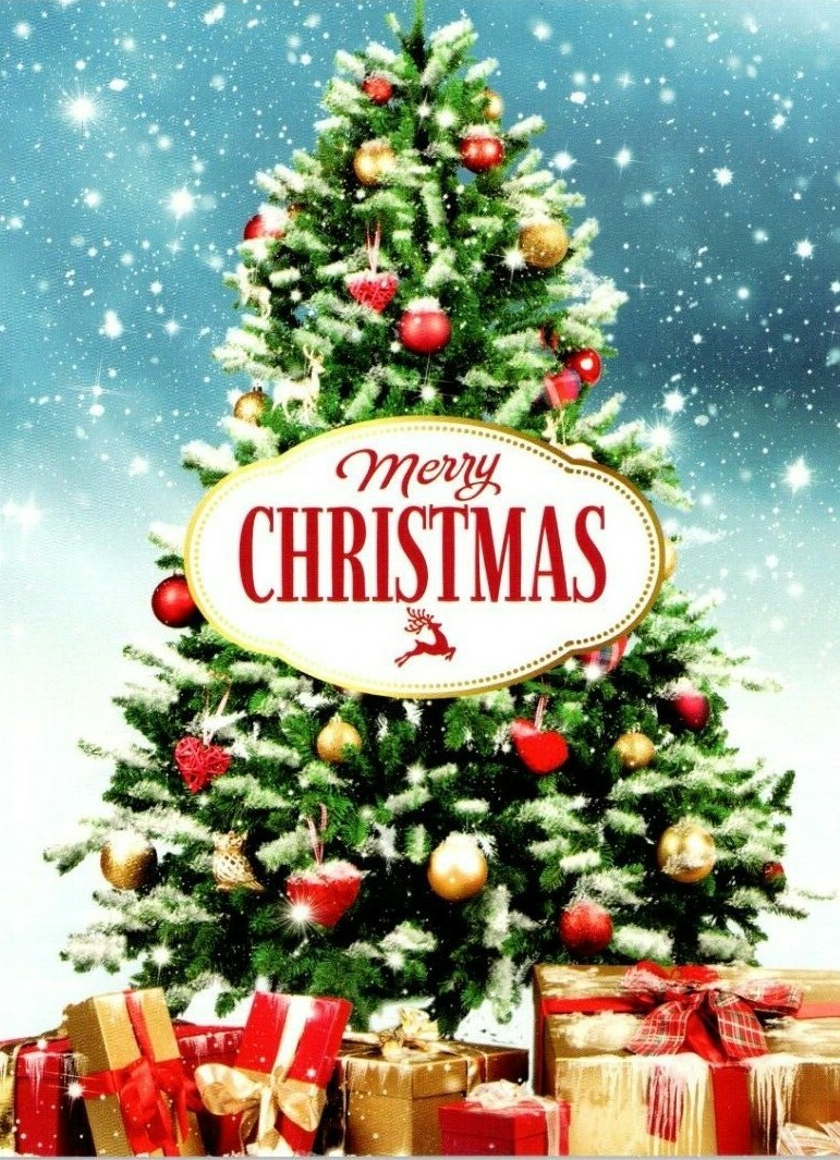 FESTIVE CHRISTMAS TREE Christmas Greeting Card w/ Envelope New MG82