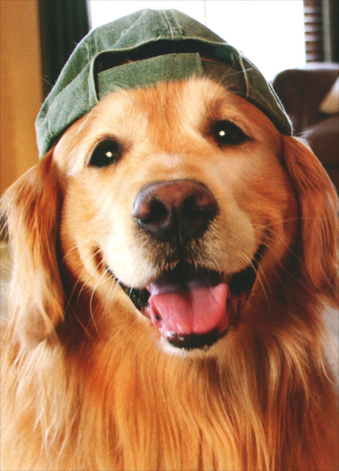 Cute Animal ANYTIME Blank Card, Golden Retriever Baseball Cap Hat by Avanti +✉