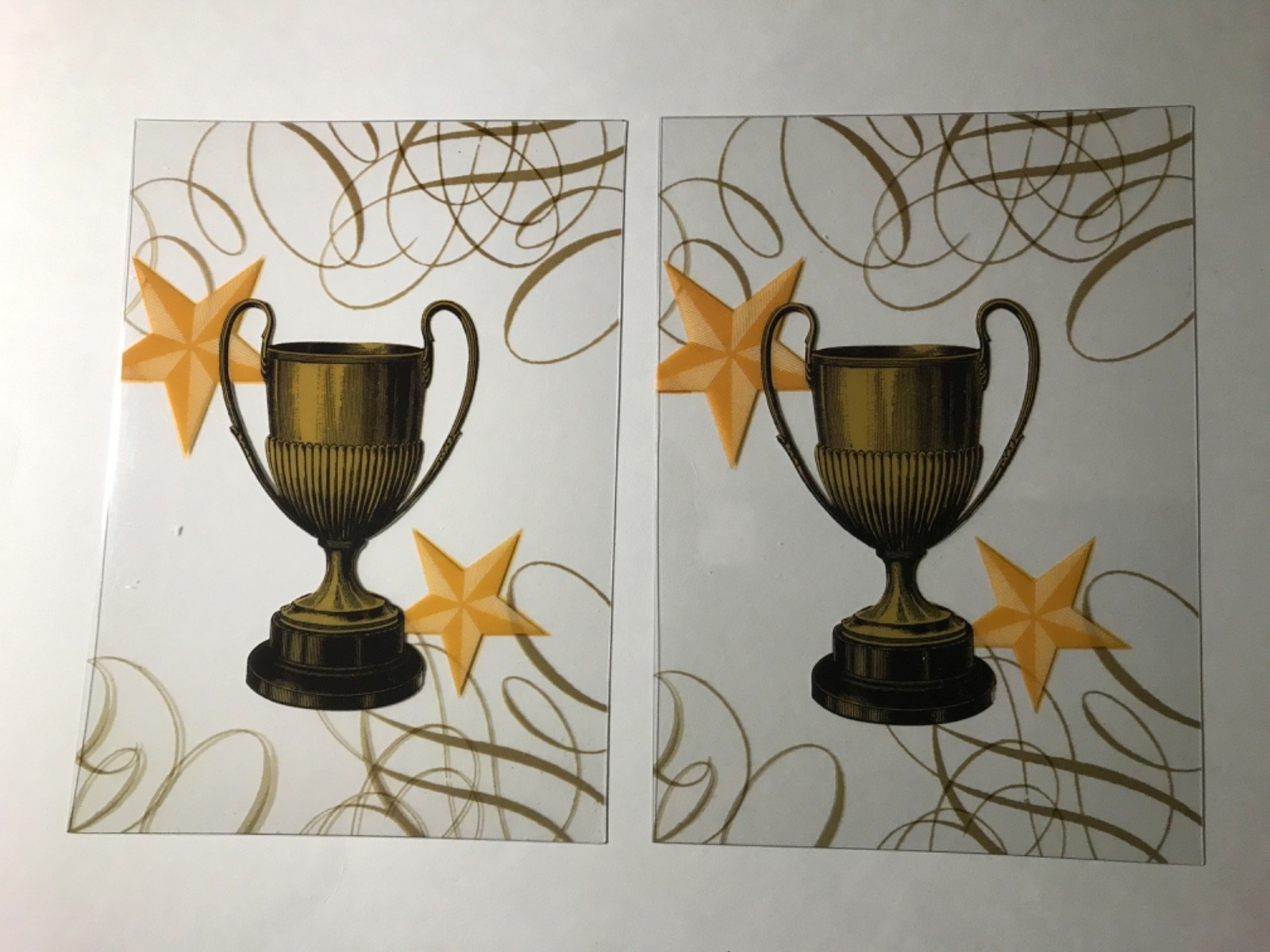 Clear Print Acetate Heavyweight Greeting Cards 5″x7″ 32 Cards/ 12 Designs