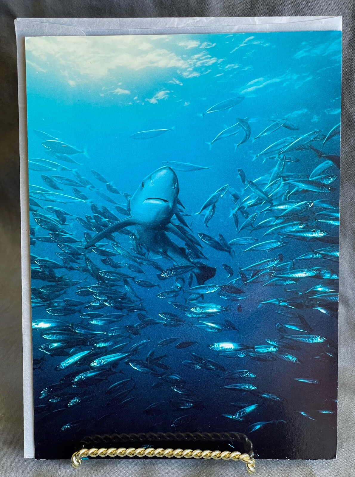 Vintage Healthy Planet Blank Greeting Card Blue Shark W/ Schooling Mackerel