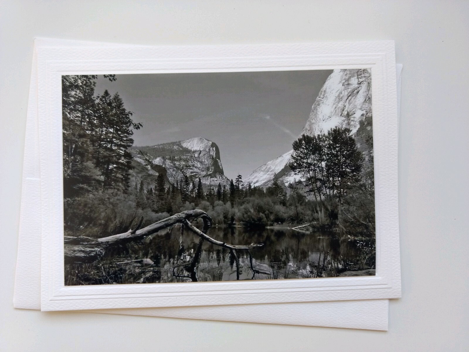 3 Variety Pack Blank Nature Themed Greeting Cards , Artist is Seller