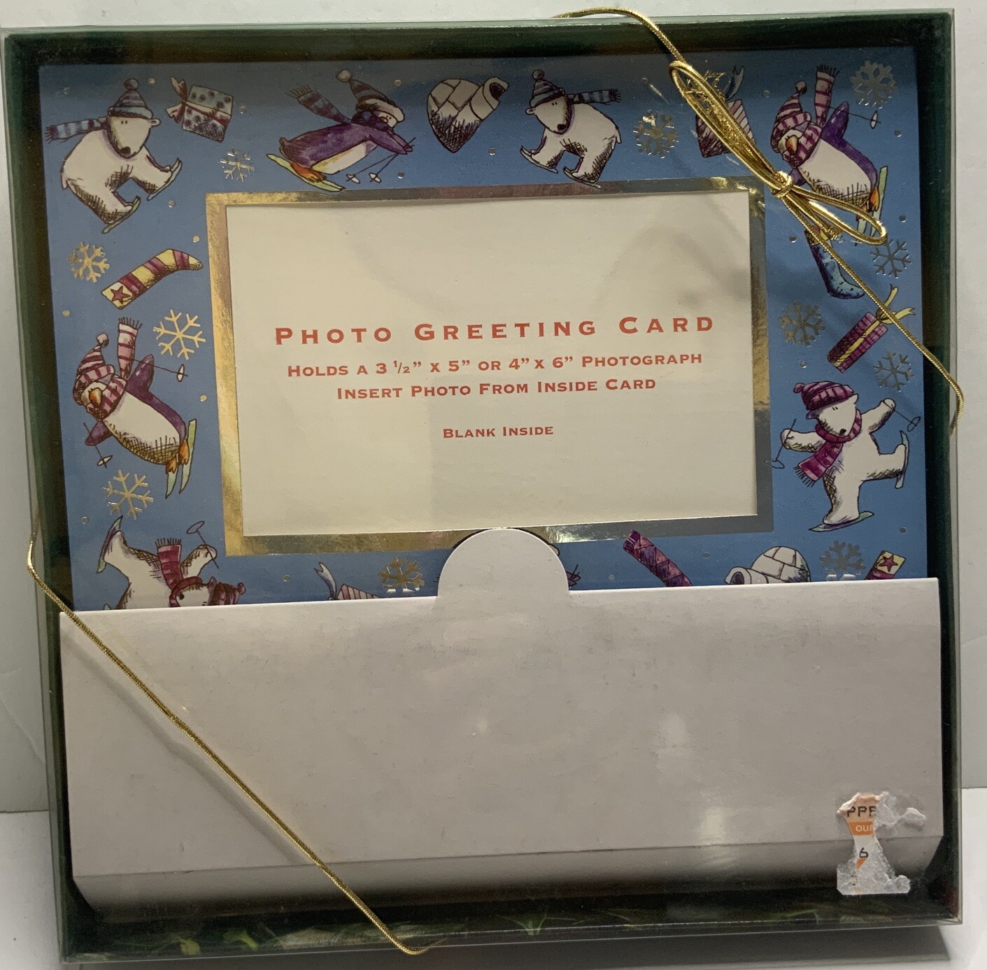 Photo Greeting Card Holds 4×6” Pictures 12 Count Polar Bear Igloo Frame