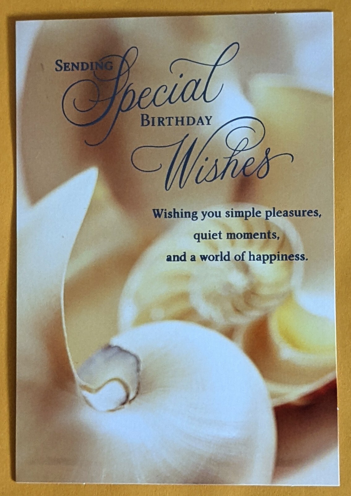 Sending Special Birthday Wishes Greeting Card (+ Envelope 5×7″)