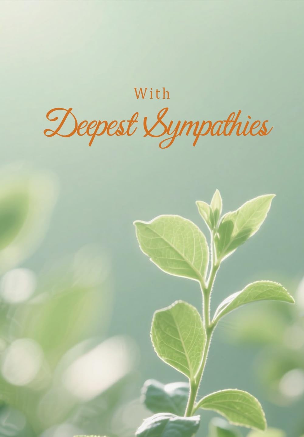 XXINMOH 24 Packs Sympathy Cards with Envelopes (4.6 x 4.6 x 6.8 inches, white