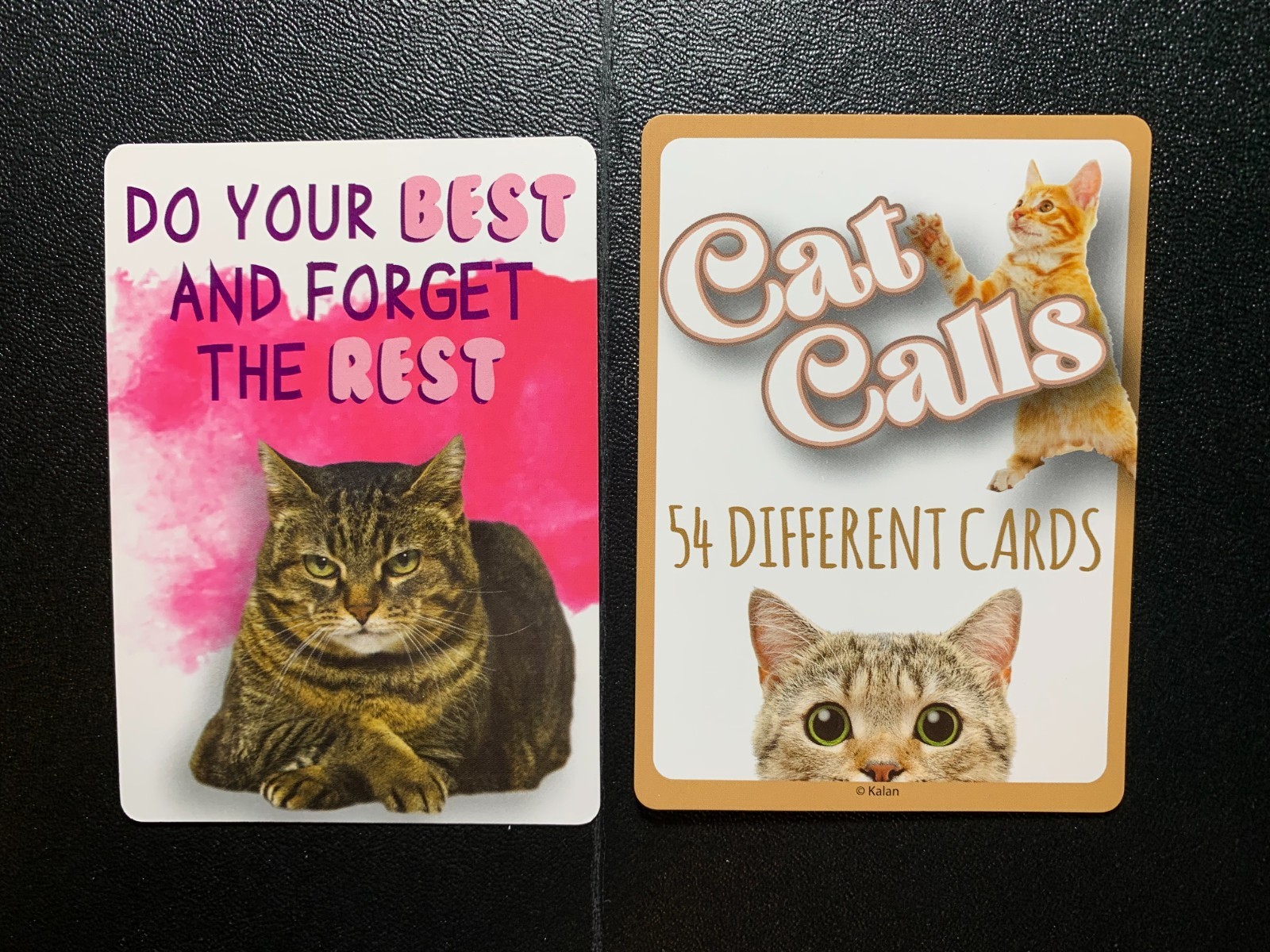 Cat Motivational Cards YOU PICK KEEPSAKE / WALLET CARD Sayings For Everyday