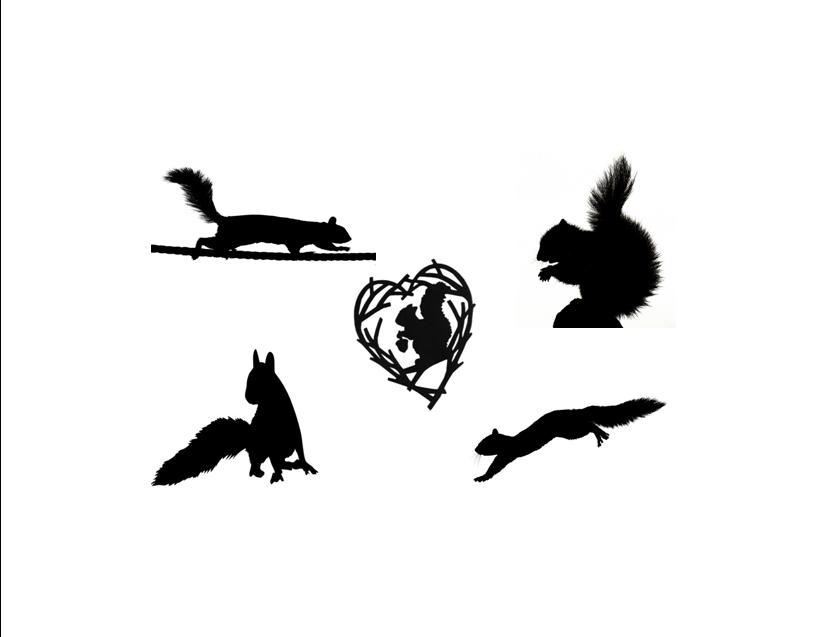 Squirrels in B&W Custom Notecards ~ Pack of 5 (Blank) by Gifted Pet Creations