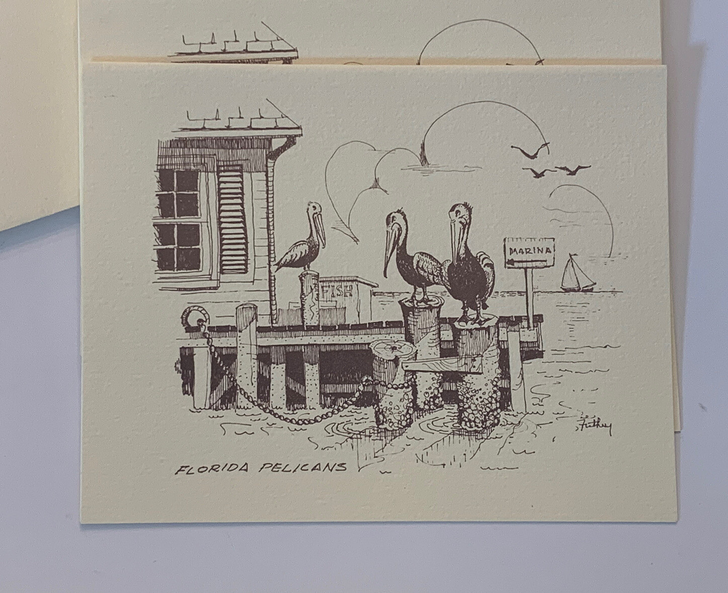FLORIDA PELICANS NOTECARDS & ENVELOPES Lot Of 5 By Signature Stationary Of FL