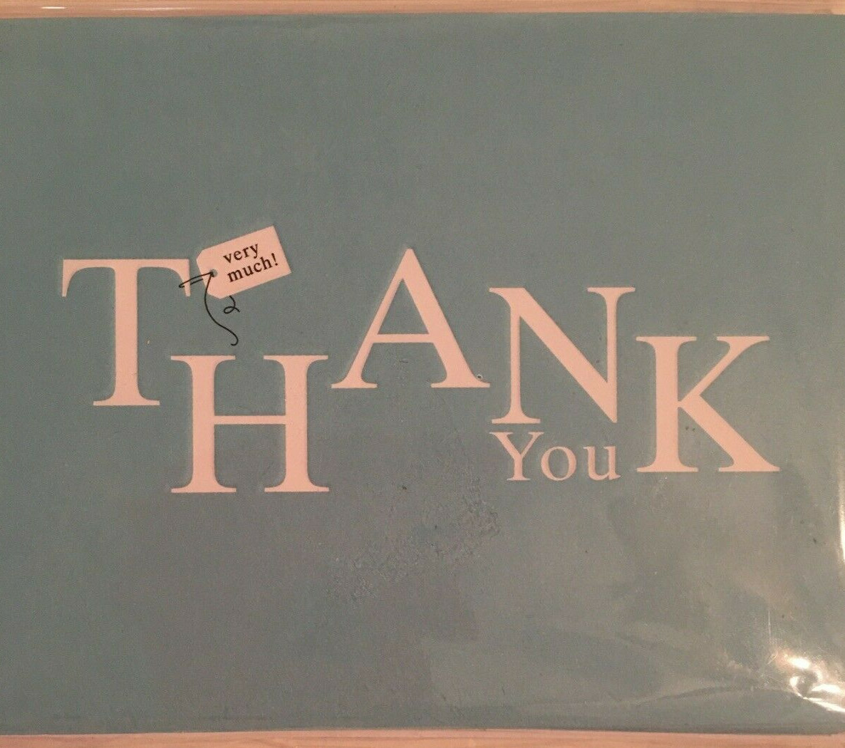 Hallmark Thank You Notes & Envelopes Pack Of 12 Teal White Blank Inside NEW