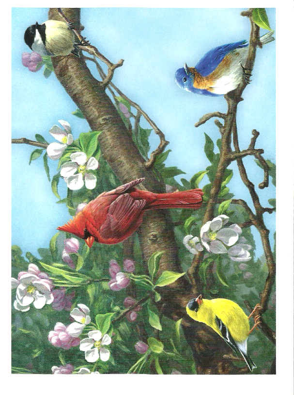 N-4 . Vintage Note Style Cards Subject Birds . Assortment of 5 and envelope