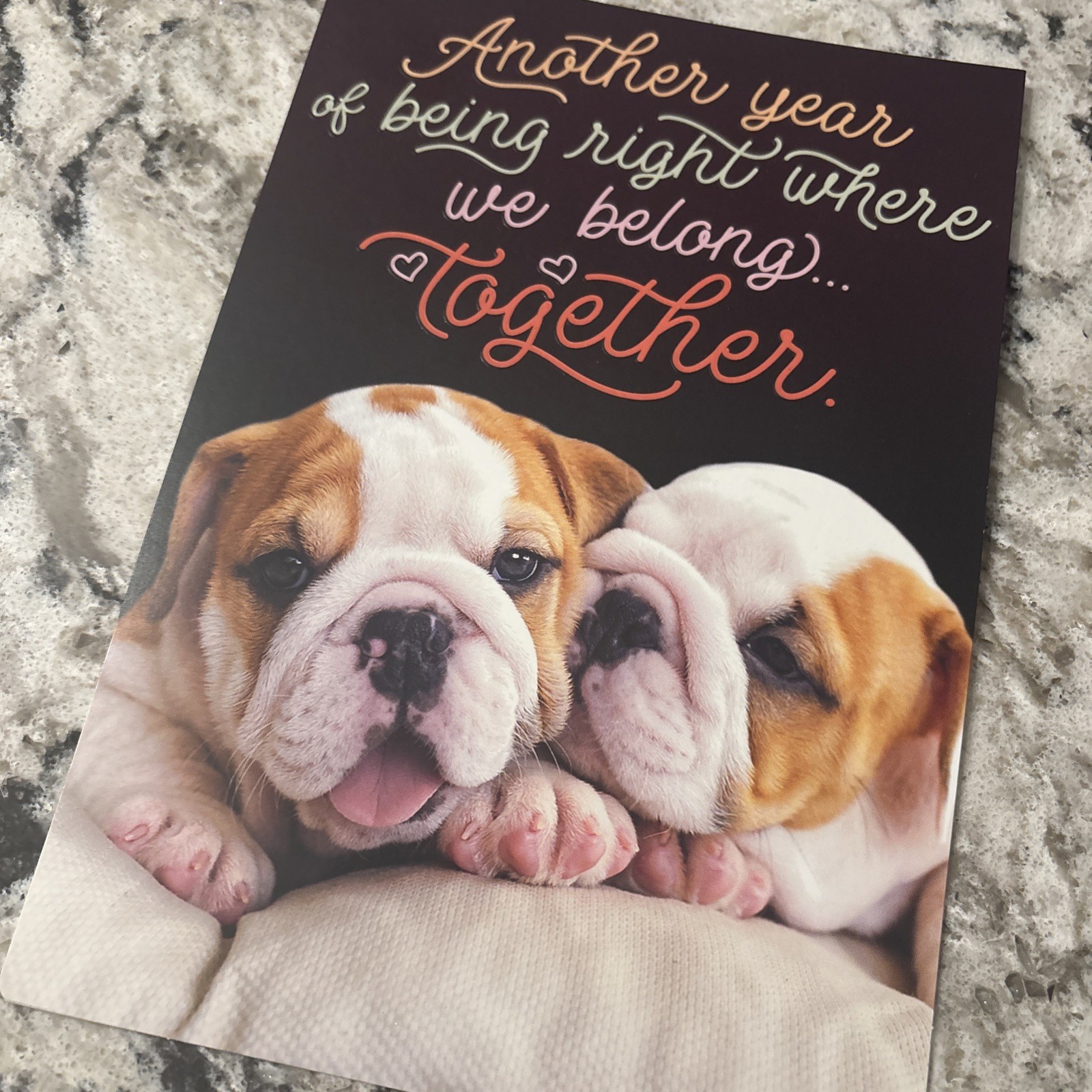 Happy Anniversary Husband Wife English Bulldog 5.5”x8” Hallmark Greeting Card