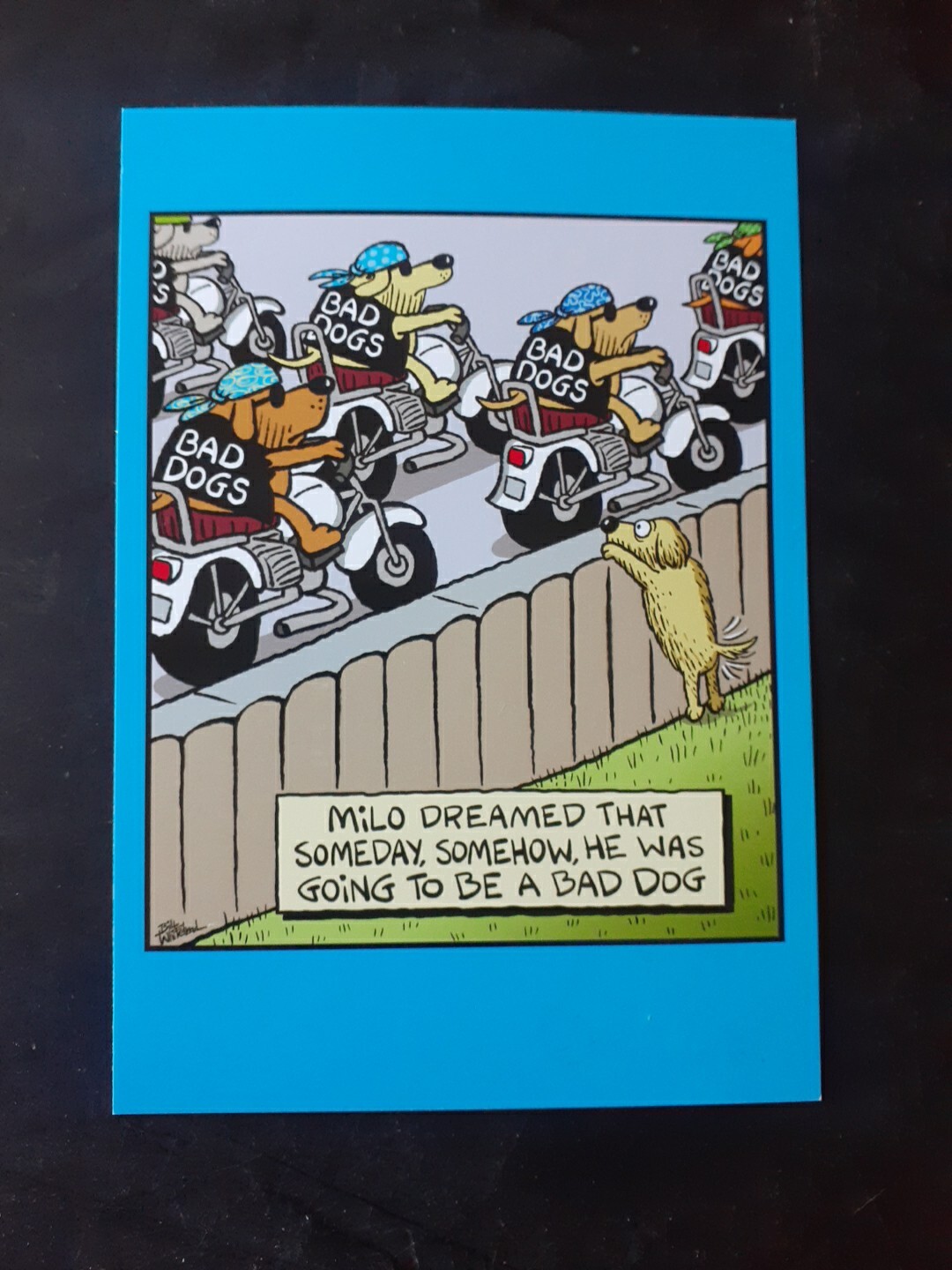 Funny Birthday Card
