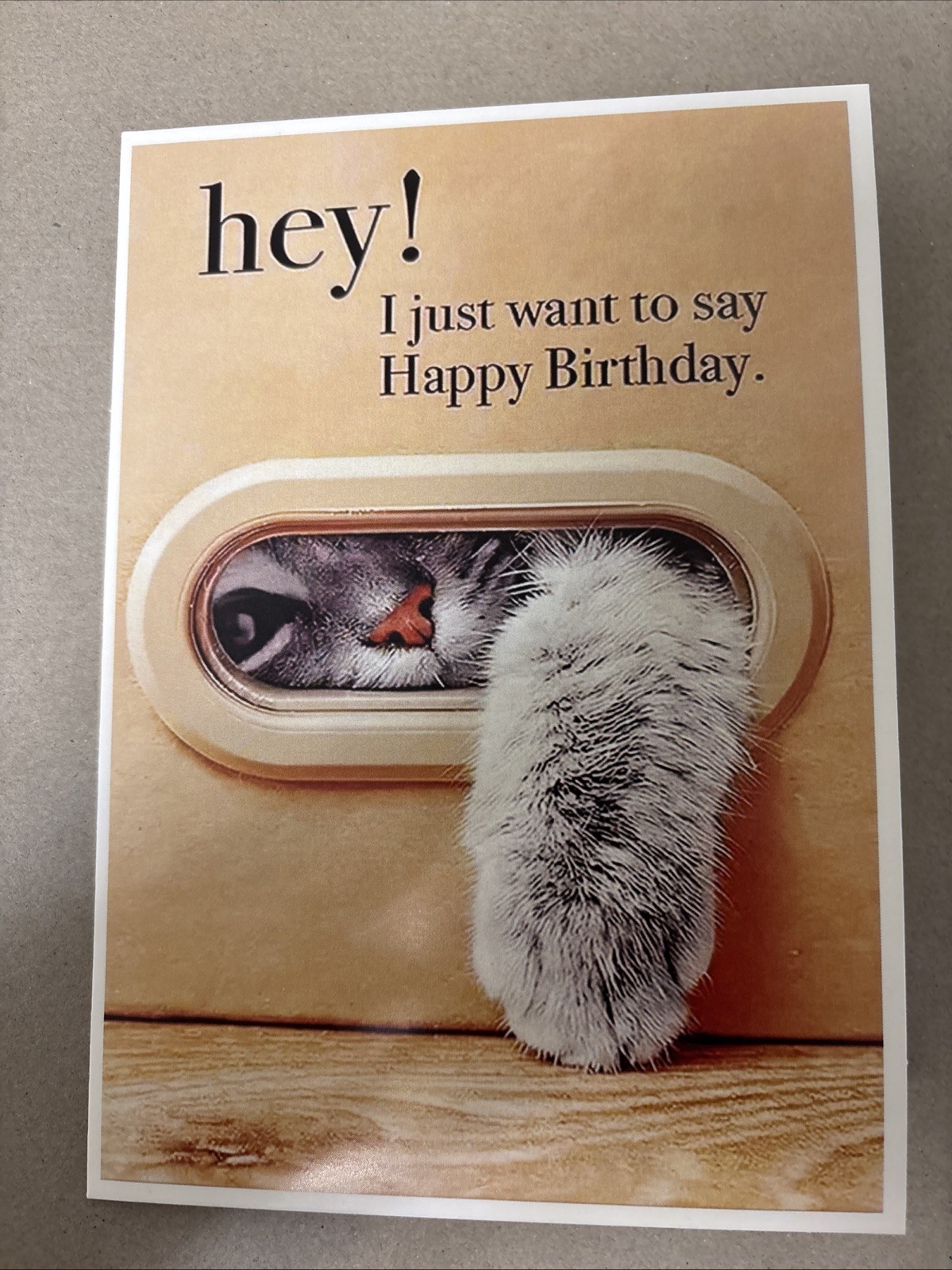 Happy Birthday Funny & Cute Cat Hey! 4.6” x 6.6” Blank Inside Greeting Card