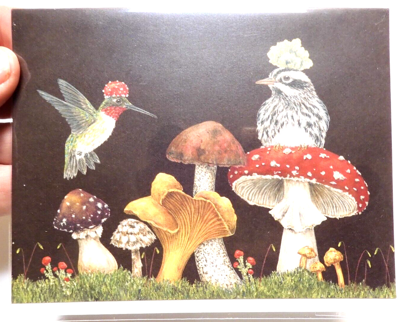 2 Hester & Cook Cards Hummingbird Mushrooms By Vicki Sawyer Blank Inside