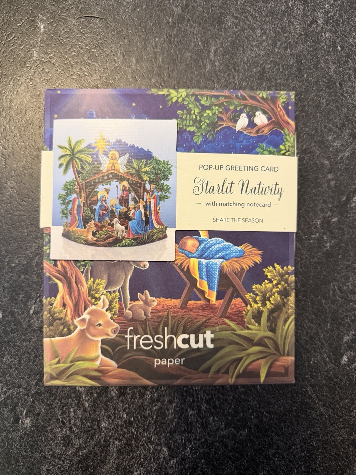 Freshcut Paper Starlit Nativity 5.5” Mini Pop-Up Christmas Decor Card NEW manger